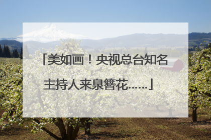 美如画！央视总台知名主持人来泉簪花……