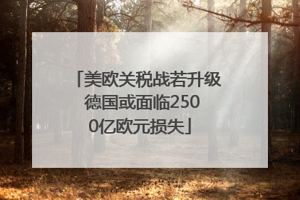 美欧关税战若升级 德国或面临2500亿欧元损失