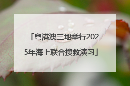 粤港澳三地举行2025年海上联合搜救演习