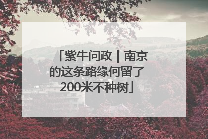 紫牛问政｜南京的这条路缘何留了200米不种树