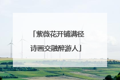 紫薇花开铺满径 诗画交融醉游人