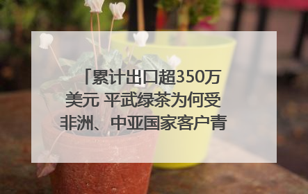 累计出口超350万美元 平武绿茶为何受非洲、中亚国家客户青睐？｜发布会观察