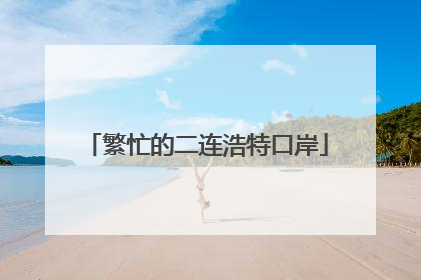 繁忙的二连浩特口岸