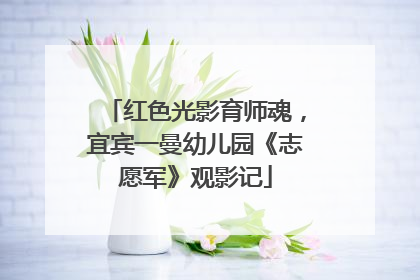 红色光影育师魂，宜宾一曼幼儿园《志愿军》观影记