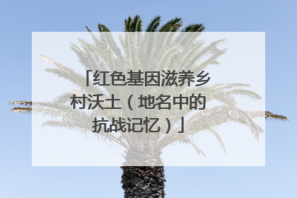 红色基因滋养乡村沃土（地名中的抗战记忆）