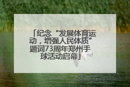 纪念“发展体育运动，增强人民体质”题词73周年郑州手球活动启幕