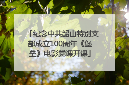 纪念中共韶山特别支部成立100周年《堡垒》电影党课开课