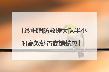 纱帽消防救援大队半小时高效处置商铺蛇患