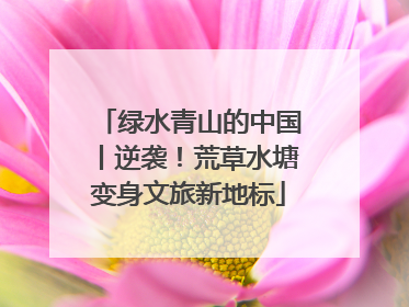 绿水青山的中国丨逆袭！荒草水塘变身文旅新地标