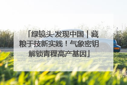 绿镜头·发现中国｜藏粮于技新实践！气象密钥解锁青稞高产基因