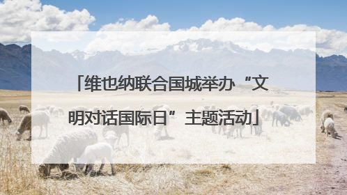 维也纳联合国城举办“文明对话国际日”主题活动