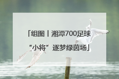 组图丨湘潭700足球“小将”逐梦绿茵场