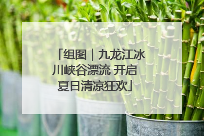 组图｜九龙江冰川峡谷漂流 开启夏日清凉狂欢