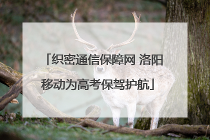 织密通信保障网 洛阳移动为高考保驾护航