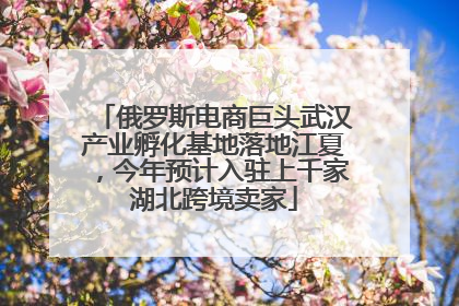 俄罗斯电商巨头武汉产业孵化基地落地江夏，今年预计入驻上千家湖北跨境卖家