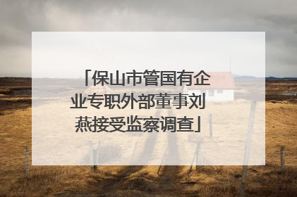 保山市管国有企业专职外部董事刘燕接受监察调查