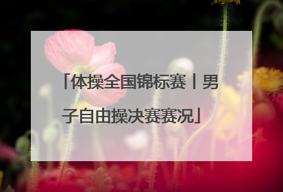 体操全国锦标赛丨男子自由操决赛赛况