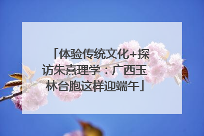 体验传统文化+探访朱熹理学：广西玉林台胞这样迎端午