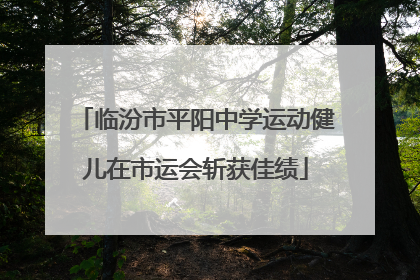 临汾市平阳中学运动健儿在市运会斩获佳绩