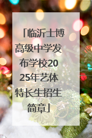 临沂士博高级中学发布学校2025年艺体特长生招生简章