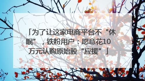 为了让这家电商平台不“休眠”，铁粉用户：愿意花10万元认购原始股“应援”