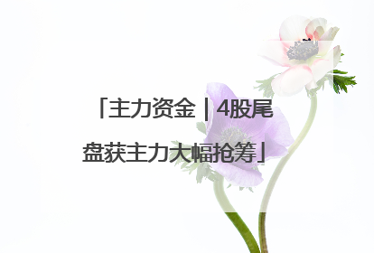 主力资金｜4股尾盘获主力大幅抢筹