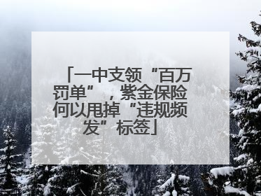 一中支领“百万罚单”，紫金保险何以甩掉“违规频发”标签