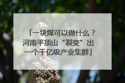 一块煤可以做什么？河南平顶山“裂变”出一个千亿级产业集群