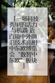 一场科技秀里的活力与机遇 近百项中外前沿技术亮相中东欧博览会“数智中东欧”板块