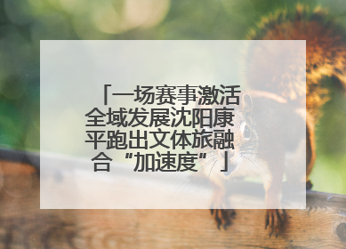 一场赛事激活全域发展沈阳康平跑出文体旅融合“加速度”