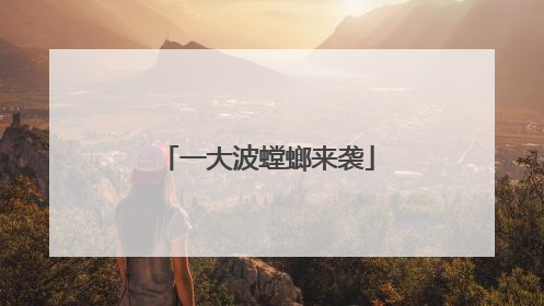 一大波螳螂来袭