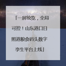 一屏统览，全局可控！山东港口日照港粮食码头数字孪生平台上线