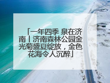 一年四季 泉在济南丨济南森林公园金光菊盛夏绽放，金色花海令人沉醉