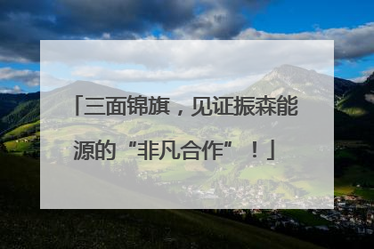 三面锦旗，见证振森能源的“非凡合作”！