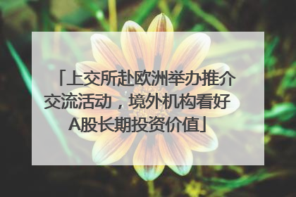 上交所赴欧洲举办推介交流活动，境外机构看好A股长期投资价值