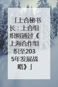 上合秘书长：上合组织将通过《上海合作组织至2035年发展战略》