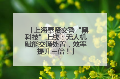 上海奉贤交警“黑科技”上线：无人机赋能交通处置，效率提升三倍！