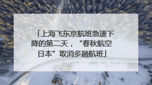 上海飞东京航班急速下降的第二天，“春秋航空日本”取消多趟航班
