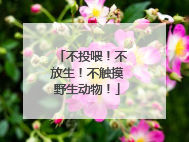 不投喂！不放生！不触摸野生动物！