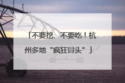 不要挖、不要吃！杭州多地“疯狂冒头”