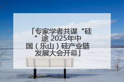 专家学者共谋“硅”途 2025年中国（乐山）硅产业链发展大会开幕