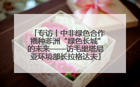 专访丨中非绿色合作播种非洲“绿色长城”的未来——访毛里塔尼亚环境部长拉格达夫