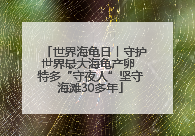 世界海龟日丨守护世界最大海龟产卵 特多“守夜人”坚守海滩30多年