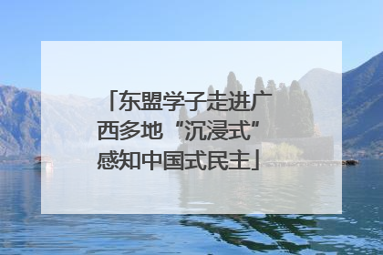 东盟学子走进广西多地“沉浸式”感知中国式民主