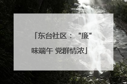 东台社区：“廉”味端午 党群情浓