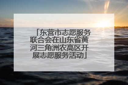 东营市志愿服务联合会在山东省黄河三角洲农高区开展志愿服务活动