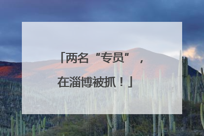 两名“专员”，在淄博被抓！