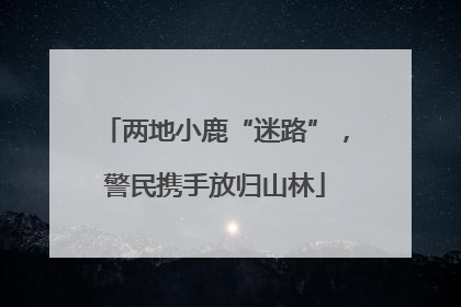 两地小鹿“迷路”，警民携手放归山林