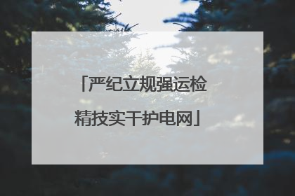 严纪立规强运检 精技实干护电网