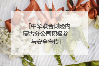 中华联合财险内蒙古分公司积极参与安全宣传